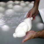 Giornata del latte: Coldiretti Campania, la mozzarella di bufala fra le big dell’Italia dei record