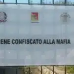 Beni confiscati, Colucci (NM): “Doveroso riconoscere professionalità dei coadiutori”