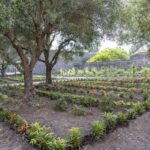 Casa del giardino di Ercole del Parco Archeologico di Pompei: ricostruzione filologica del giardino